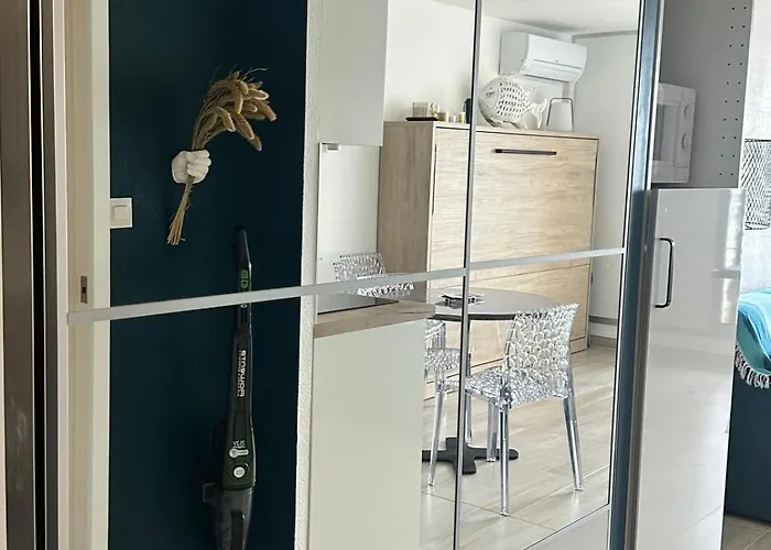 Le Cap D Vue Directe Sur Le Port * Agde