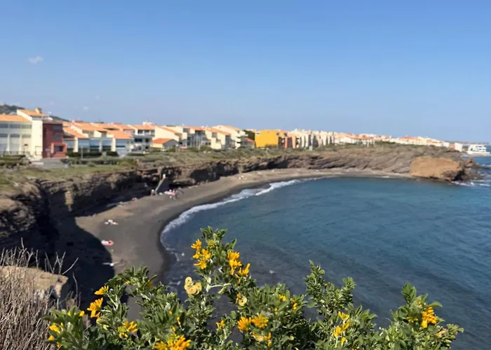 Le Cap D Vue Directe Sur Le Port * Agde