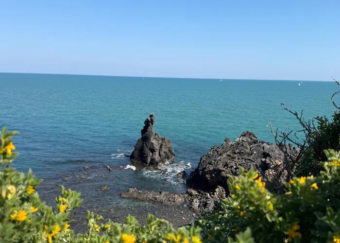 Apartment Le Cap D Vue Directe Sur Le Port Agde